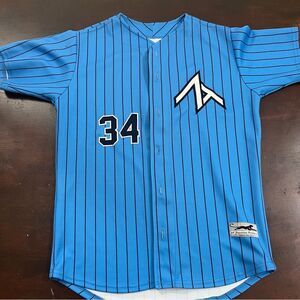 ZT prospects baseball Blue Striped full button Jersey CA old school